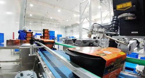 国内大循环·消费新格局丨一盒自热火锅如何催熟一座城市的产业集群？从‘舌尖经济’看见百货新生态